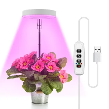 2022 Гореща Разпродажба Ангел Пръстен Заполняющий Светлина USB за Оцветяване Пълен набор от LED Цвете Бонсай Растителен Светлина Растеж