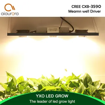 CREE CXB3590 300 W COB led Лампа За Отглеждане на Пълна Гама от Led Лампа 38000LM = ВЕЦ 600 W Лампа За Отглеждане на Стайни Растения Панел Осветление